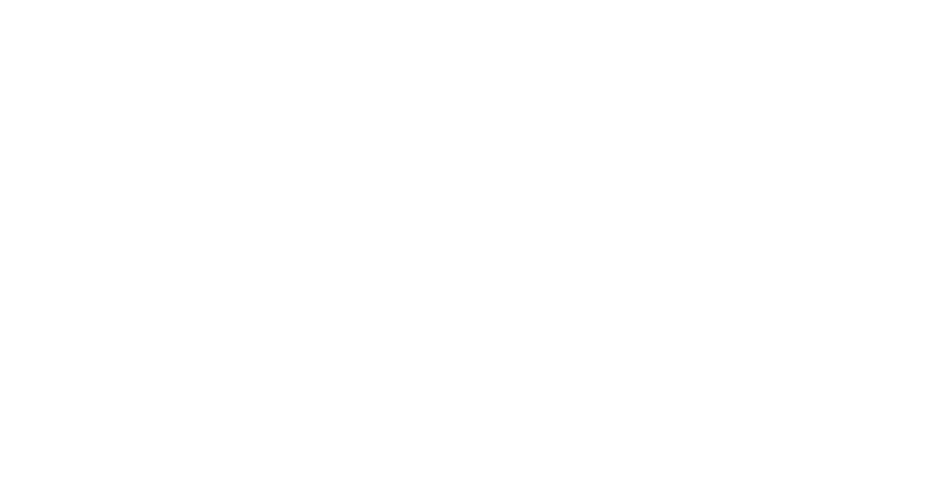 Logo DIMM